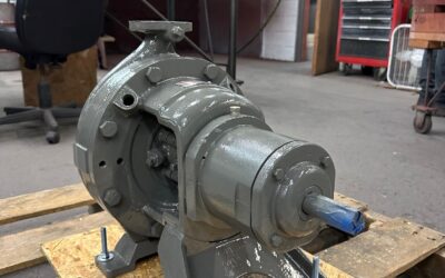 Thelco Pump of The Day