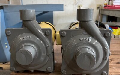 D500’s