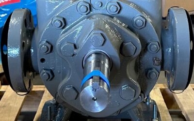 Thelco Pump Of The Day Worthington 3GRM