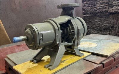 Thelco Pump of The Day