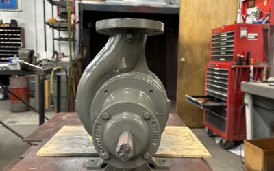 Thelco Pump of The Day