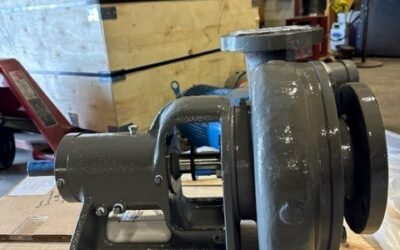 Thelco Pump of The Day