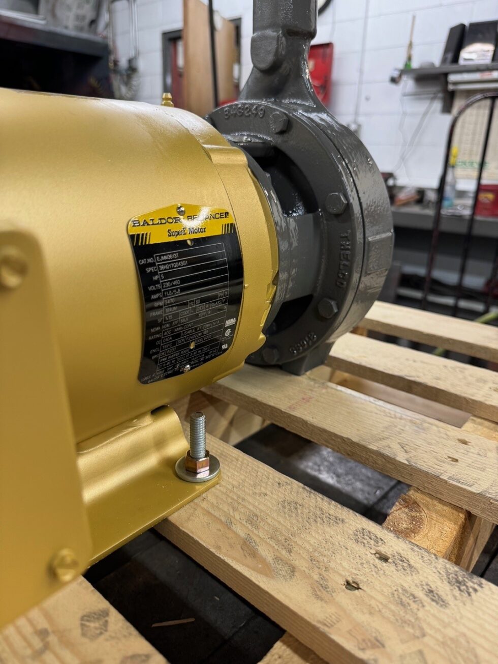 Worthington D824 1.5x1x6 Pump & Parts Thelco