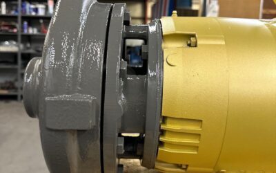 Thelco Pump of The Day