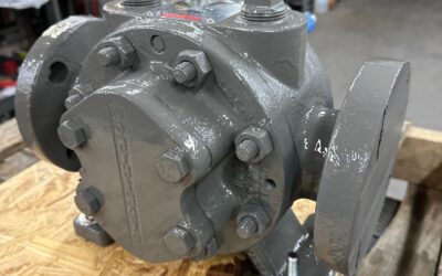 Thelco Pump of The Day