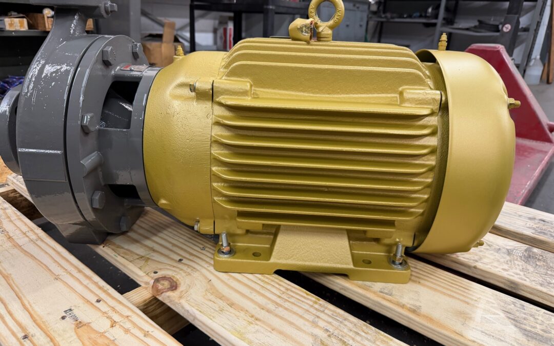 Worthington D824 2x1x10 stainless steel fitted pump from Thelco
