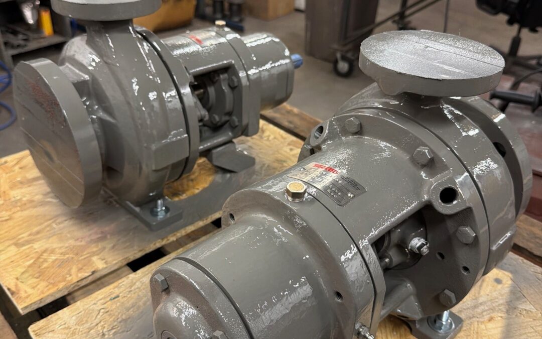 Worthington Pumps D1011 3x1.5x6 stainless steel fitted pump with full 6.50-inch impeller